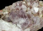 Amethyst Crystal Cluster - Morocco #51844-1